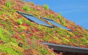 West Horndon living roof systems